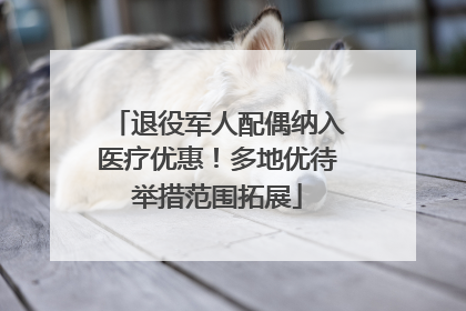 退役军人配偶纳入医疗优惠！多地优待举措范围拓展