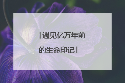 遇见亿万年前的生命印记