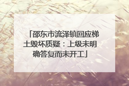 邵东市流泽镇回应梯土毁坏质疑：上级未明确答复而未开工