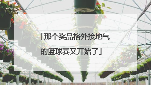 那个奖品格外接地气的篮球赛又开始了