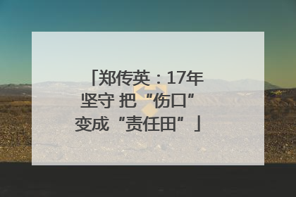 郑传英：17年坚守 把“伤口”变成“责任田”