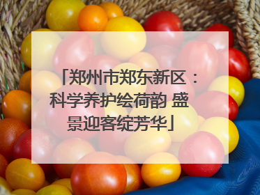郑州市郑东新区：科学养护绘荷韵 盛景迎客绽芳华