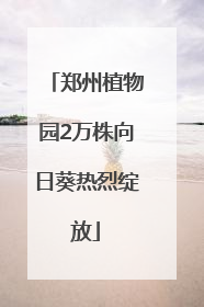 郑州植物园2万株向日葵热烈绽放