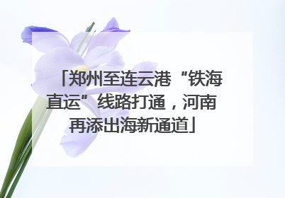 郑州至连云港“铁海直运”线路打通，河南再添出海新通道