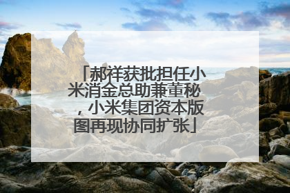 郝祥获批担任小米消金总助兼董秘，小米集团资本版图再现协同扩张