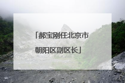 郝宝刚任北京市朝阳区副区长