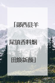 郧西县羊尾镇香料烟田焕新颜