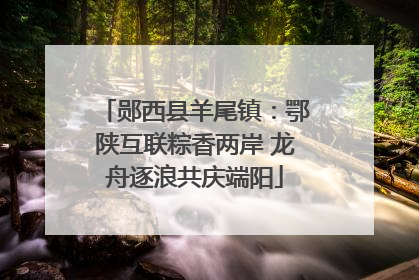 郧西县羊尾镇：鄂陕互联粽香两岸 龙舟逐浪共庆端阳