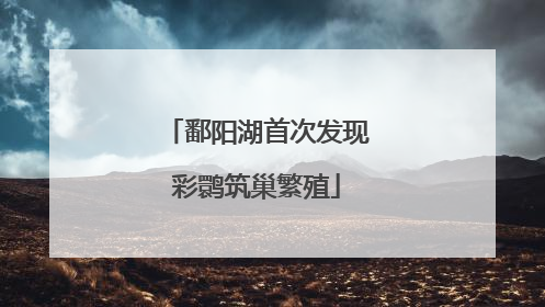 鄱阳湖首次发现彩鹮筑巢繁殖