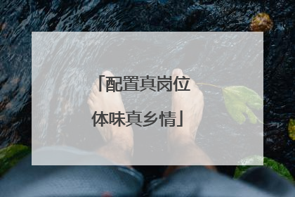 配置真岗位 体味真乡情
