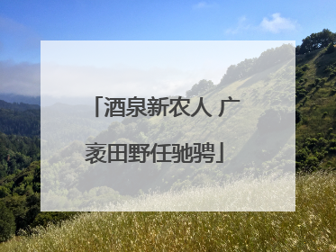 酒泉新农人 广袤田野任驰骋