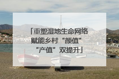 重塑湿地生命网络 赋能乡村“颜值”“产值”双提升