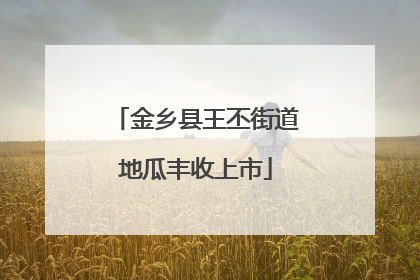金乡县王丕街道地瓜丰收上市