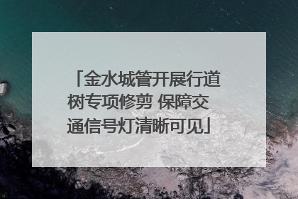 金水城管开展行道树专项修剪 保障交通信号灯清晰可见
