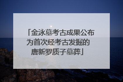 金泳墓考古成果公布 为首次经考古发掘的唐新罗质子墓葬
