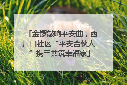 金锣敲响平安曲，西厂口社区“平安合伙人”携手共筑幸福家