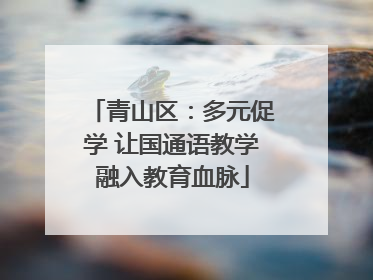 青山区：多元促学 让国通语教学融入教育血脉