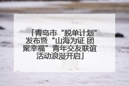 青岛市“脱单计划”发布暨“山海为证 团聚幸福”青年交友联谊活动浪漫开启