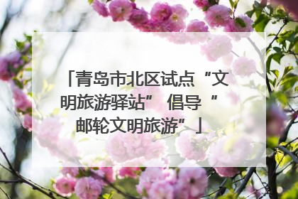 青岛市北区试点“文明旅游驿站” 倡导“邮轮文明旅游”
