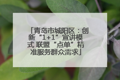 青岛市城阳区：创新“1+1”宣讲模式 联盟“点单”精准服务群众需求