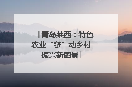 青岛莱西：特色农业“链”动乡村振兴新图景