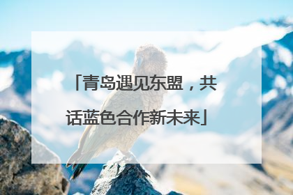 青岛遇见东盟，共话蓝色合作新未来
