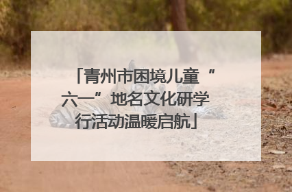 青州市困境儿童“六一”地名文化研学行活动温暖启航