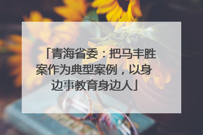 青海省委：把马丰胜案作为典型案例，以身边事教育身边人