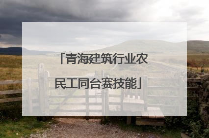 青海建筑行业农民工同台赛技能