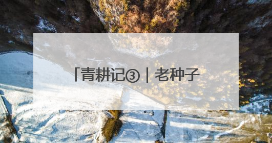 青耕记③｜老种子蔬菜的销售困局
