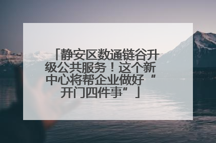 静安区数通链谷升级公共服务！这个新中心将帮企业做好“开门四件事”