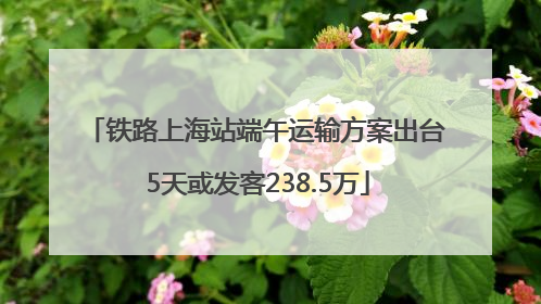 铁路上海站端午运输方案出台 5天或发客238.5万