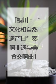 铜川：“文化和自然遗产日”奏响非遗与美食交响曲