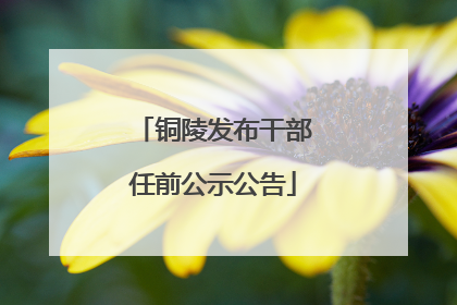 铜陵发布干部任前公示公告