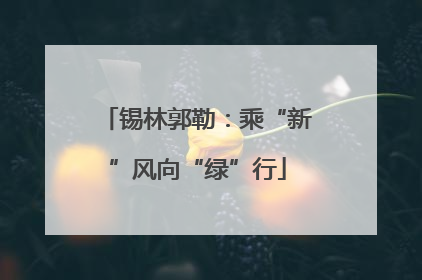 锡林郭勒：乘“新”风向“绿”行