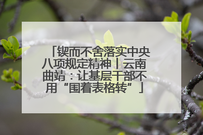 锲而不舍落实中央八项规定精神丨云南曲靖：让基层干部不用“围着表格转”