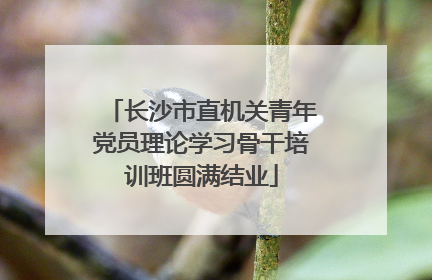 长沙市直机关青年党员理论学习骨干培训班圆满结业