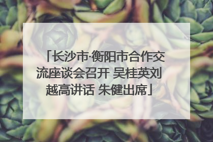 长沙市·衡阳市合作交流座谈会召开 吴桂英刘越高讲话 朱健出席