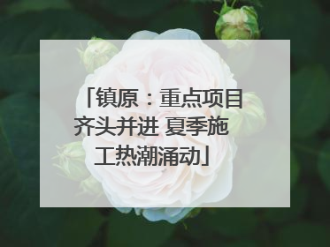 镇原：重点项目齐头并进 夏季施工热潮涌动