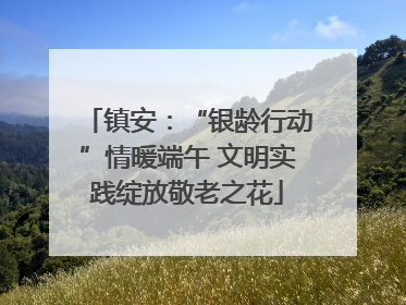 镇安：“银龄行动”情暖端午 文明实践绽放敬老之花