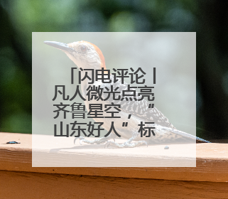 闪电评论丨凡人微光点亮齐鲁星空，“山东好人”标注新时代精神坐标