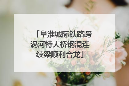 阜淮城际铁路跨涡河特大桥钢混连续梁顺利合龙