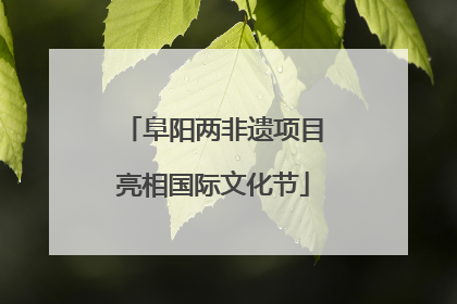 阜阳两非遗项目亮相国际文化节
