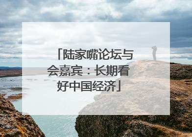 陆家嘴论坛与会嘉宾：长期看好中国经济