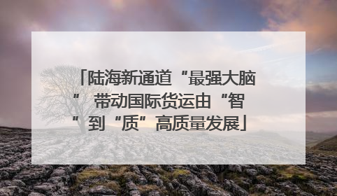 陆海新通道“最强大脑” 带动国际货运由“智”到“质”高质量发展