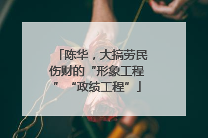 陈华，大搞劳民伤财的“形象工程”“政绩工程”