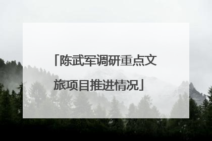陈武军调研重点文旅项目推进情况