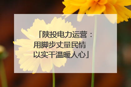 陕投电力运营：用脚步丈量民情 以实干温暖人心
