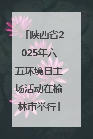 陕西省2025年六五环境日主场活动在榆林市举行