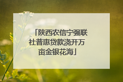 陕西农信宁强联社普惠贷款浇开万亩金银花海